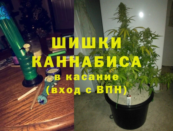 шишки Ессентукская