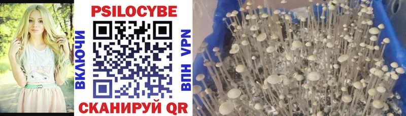 Галлюциногенные грибы Cubensis  Ужур 